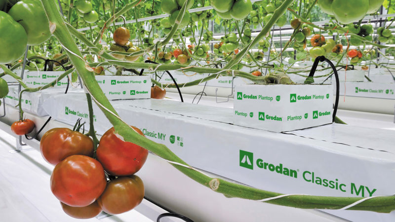 Spotlight functie: Business Director Northern & Western Europe bij GRODAN